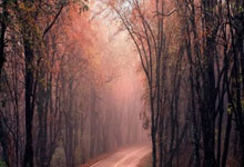 半岛体育官网：电讯报：阿什沃思正在就重返英足总担任重要职务进行谈判.