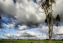 [德甲]拜仁慕尼黑新赛季联赛首战告捷.